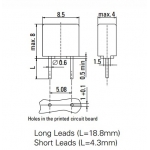 square fuse 2A 250V ( ฟิวส์ สี่เหลี่ยม) 